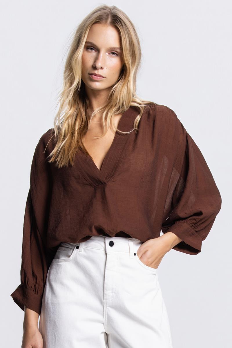 PEM TRANSPARANTE V-HALS BLOUSE IN BRUIN