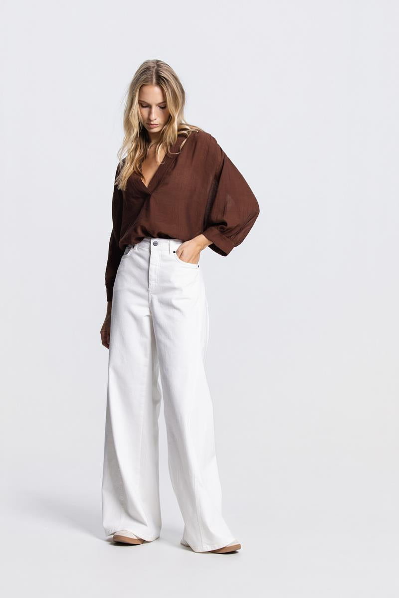 PEM TRANSPARANTE V-HALS BLOUSE IN BRUIN