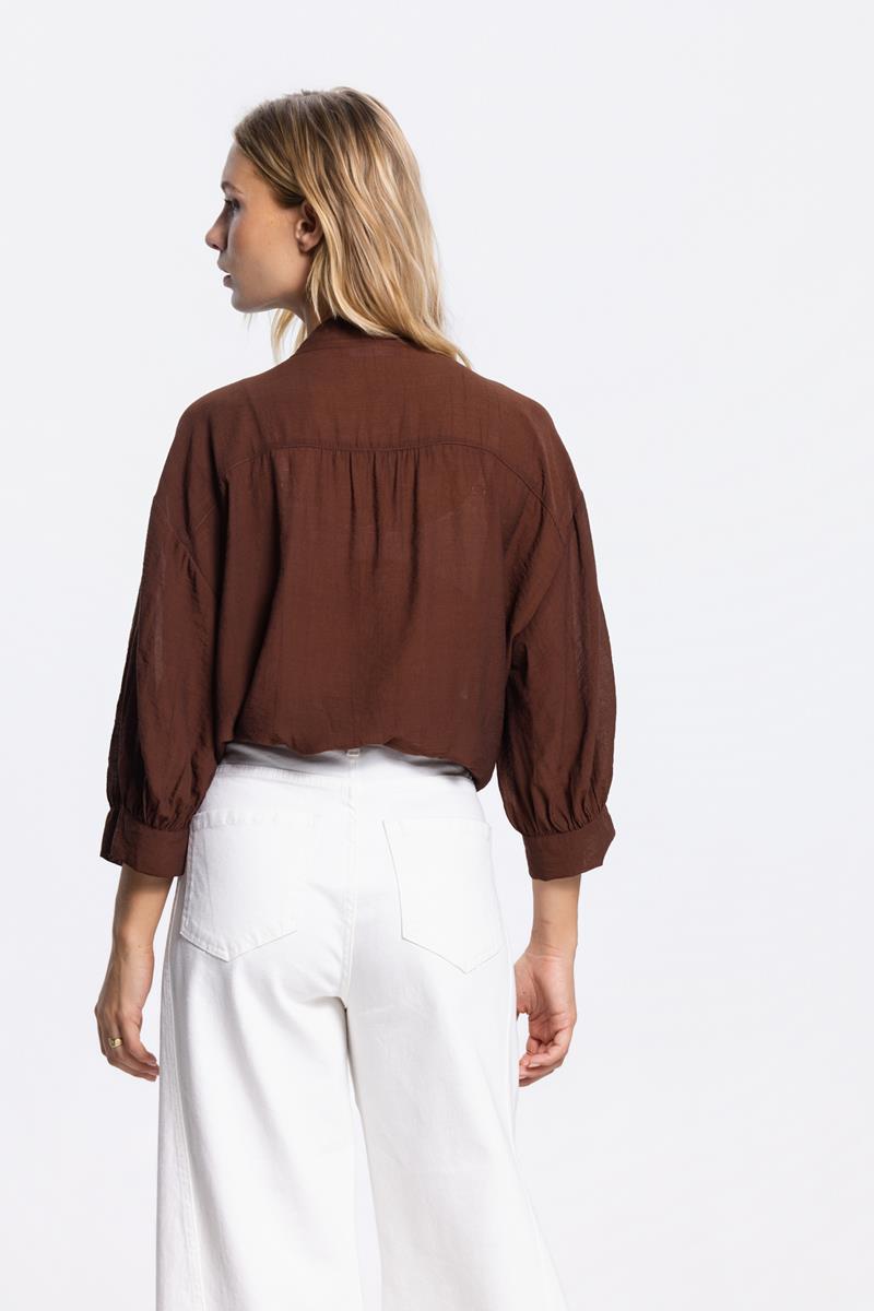 PEM TRANSPARANTE V-HALS BLOUSE IN BRUIN
