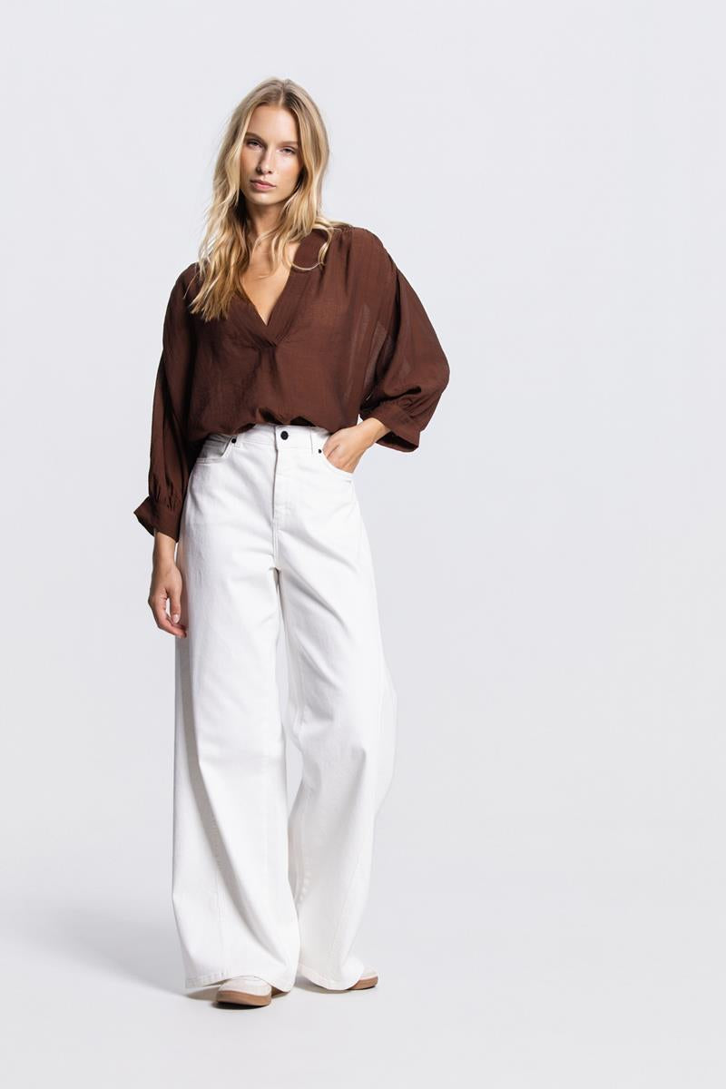 PEM TRANSPARANTE V-HALS BLOUSE IN BRUIN